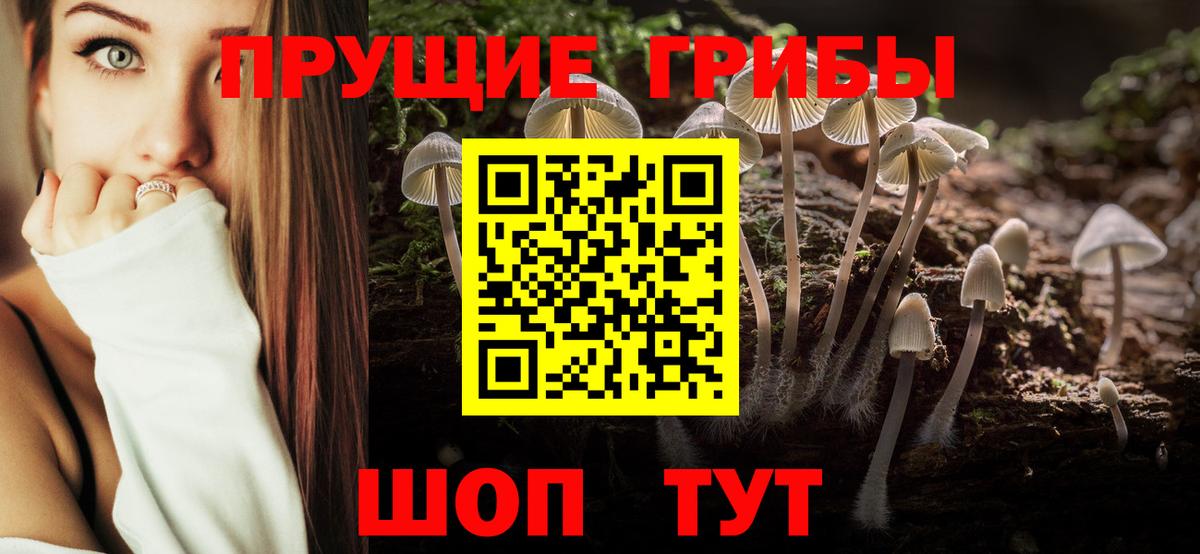 Псилоцибиновые грибы GOLDEN TEACHER  Псилоцибиновые грибы Magic Shrooms  Сухой Лог  Вход с VPN 